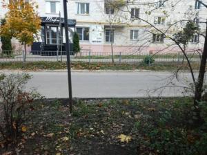 Фотография Тэфи 3