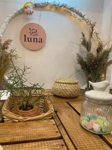 Фотография LUNA 4