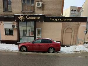 Фотография Саванна 4