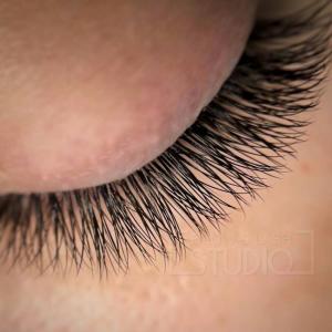 Фотография BROW & LASH STUDIO 0